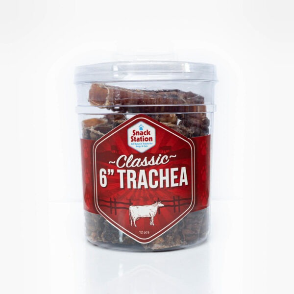 Snack Station - Trachée de 6" Classique -